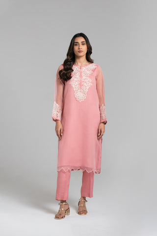 2 Piece Organza Embroidered Suit (FS0035)