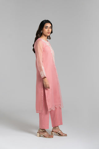 2 Piece Organza Embroidered Suit (FS0035)