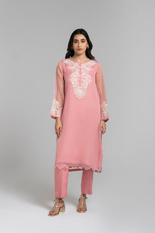 2 Piece Organza Embroidered Suit (FS0035)