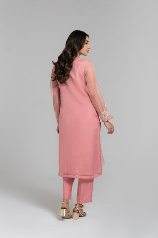 2 Piece Organza Embroidered Suit (FS0035)