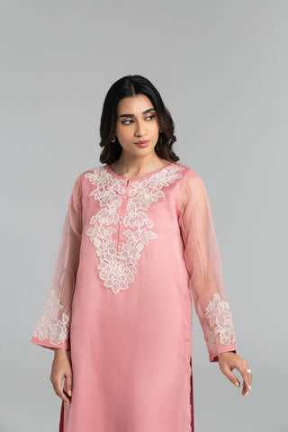 2 Piece Organza Embroidered Suit (FS0035)