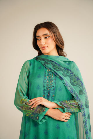 3 Piece Chiffon Printed Suit (FS0041)