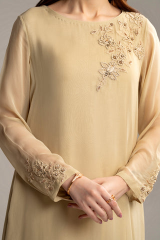 1 Piece Chiffon Embroidered Shirt (FS0049)