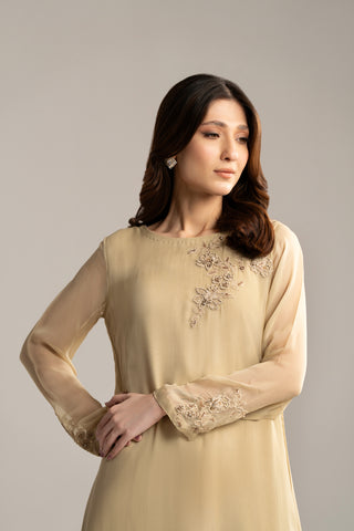 1 Piece Chiffon Embroidered Shirt (FS0049)