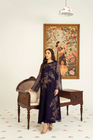 2 Piece Chiffon Embroidered Suit (FS0055)