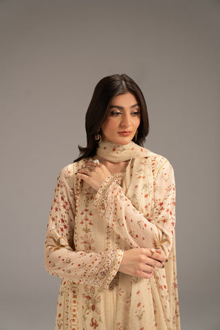 3 Piece Chiffon Printed (FS0077)