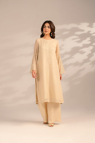 1 Piece Chiffon Embroidered (FS0080)