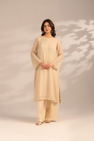 1 Piece Chiffon Embroidered (FS0080)