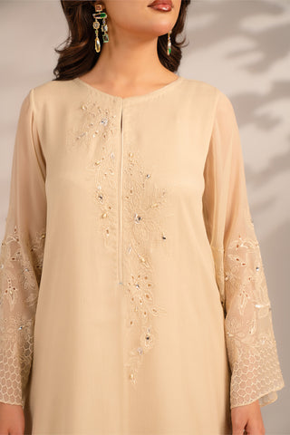1 Piece Chiffon Embroidered (FS0080)