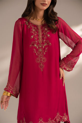 2 Piece Chiffon Embroidered Suit (FS0083)