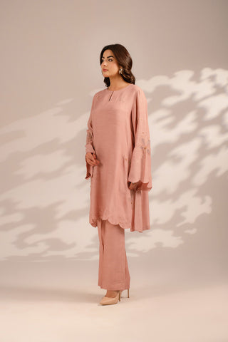 2 Piece Raw Silk Embroidered Suit (FS0089)