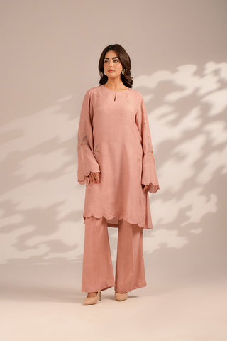 2 Piece Raw Silk Embroidered Suit (FS0089)