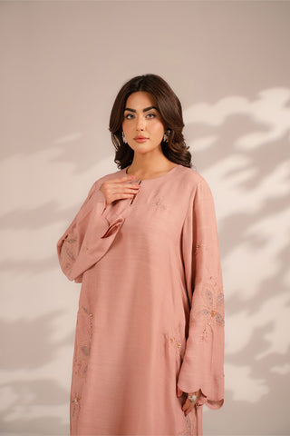 2 Piece Raw Silk Embroidered Suit (FS0089)