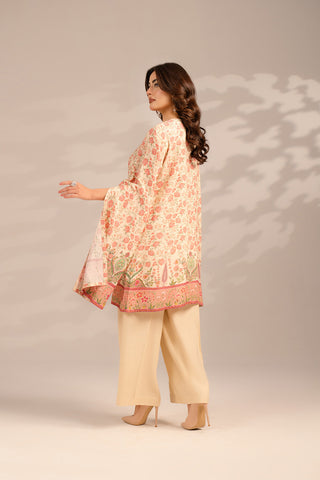 2 Piece Raw Silk Embroidered Suit (FS0095)
