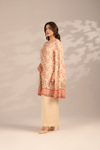 2 Piece Raw Silk Embroidered Suit (FS0095)