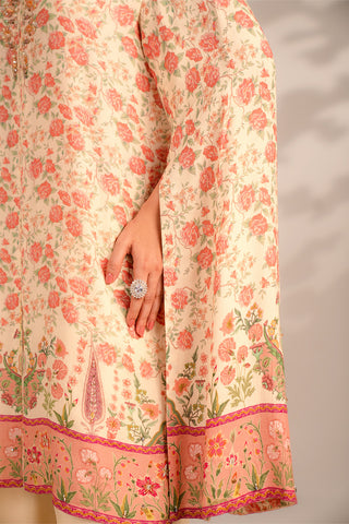 2 Piece Raw Silk Embroidered Suit (FS0095)