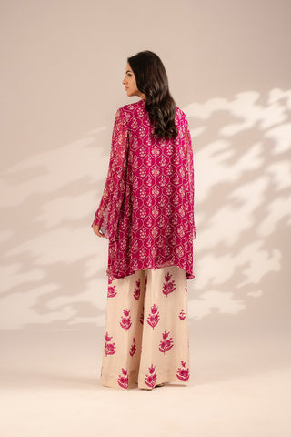 2 Piece Chiffon Embroidered Suit (FS0096)