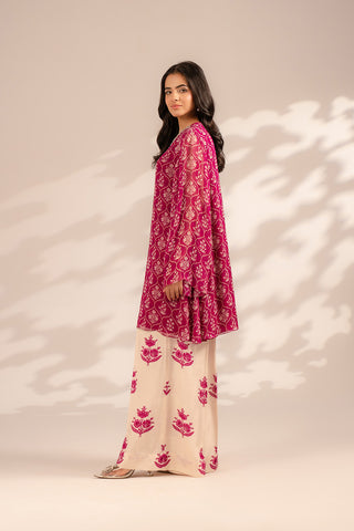 2 Piece Chiffon Embroidered Suit (FS0096)