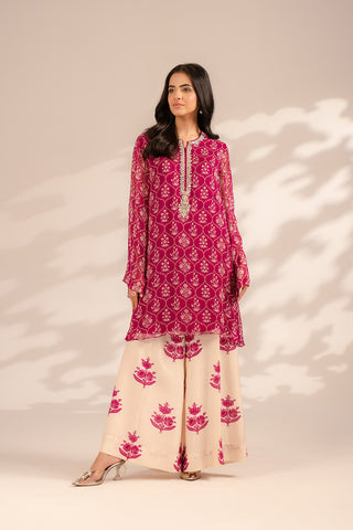 2 Piece Chiffon Embroidered Suit (FS0096)