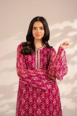 2 Piece Chiffon Embroidered Suit (FS0096)