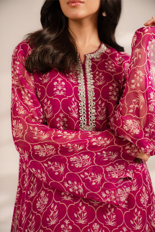 2 Piece Chiffon Embroidered Suit (FS0096)