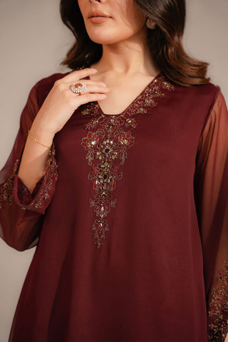 2 Piece Chiffon Embroidered Suit (FS0098)