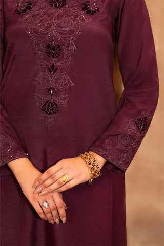 2 Piece Raw Silk Embroidered (FS0099)