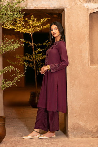 2 Piece Raw Silk Embroidered (FS0099)