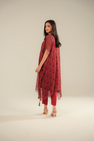 2 Piece Chiffon Embroidered Suit (FS0101)