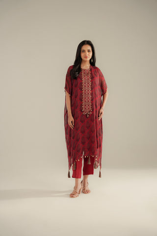 2 Piece Chiffon Embroidered Suit (FS0101)