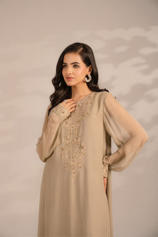 2 Piece Chiffon Embroidered Suit (FS0105)