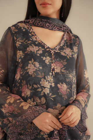 3 Piece Chiffon Printed Suit (FS0106)