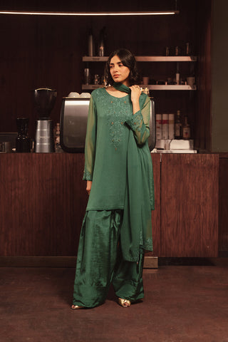 3 Piece Chiffon Embroidered Suit (FS0115)