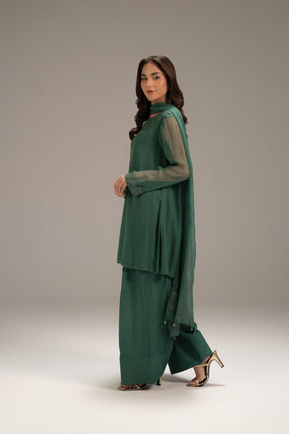 3 Piece Chiffon Embroidered Suit (FS0115)