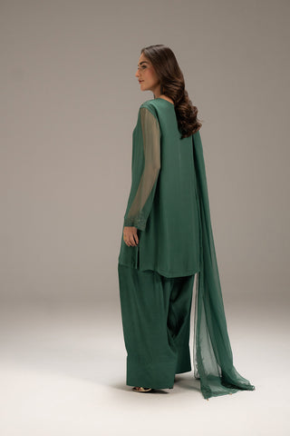 3 Piece Chiffon Embroidered Suit (FS0115)