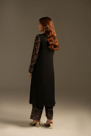 2 Piece Chiffon Embroidered Suit (FS0116)