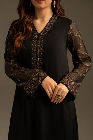 2 Piece Chiffon Embroidered Suit (FS0116)