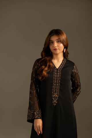 2 Piece Chiffon Embroidered Suit (FS0116)