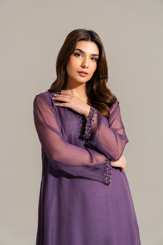2 Piece Chiffon Embroidered Suit (FS0122)