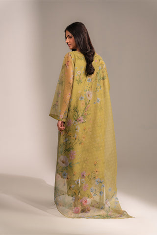 3 Piece Rajo Net Printed Printed Suit (FS0128)
