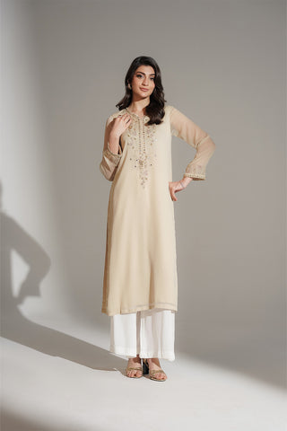 1 Piece Chiffon Embroidered Shirt (FS0131)