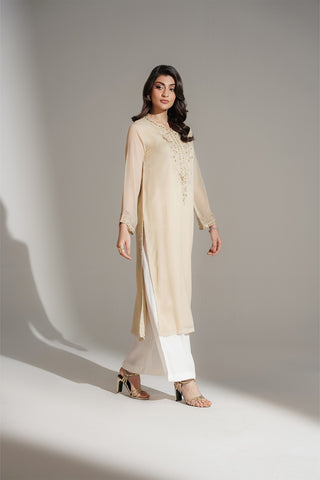 1 Piece Chiffon Embroidered Shirt (FS0131)