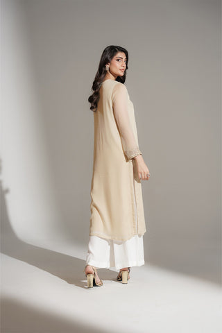 1 Piece Chiffon Embroidered Shirt (FS0131)