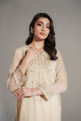 1 Piece Chiffon Embroidered Shirt (FS0131)