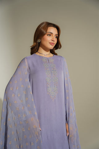 3 Piece Chiffon Embroidered Suit (FS0134)