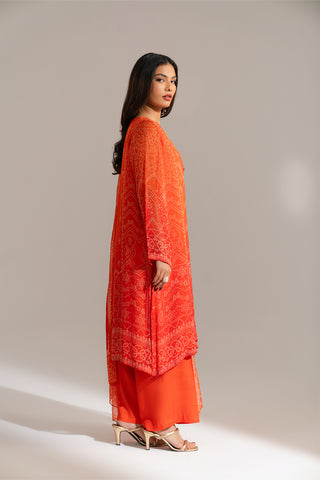 3 Piece Printed Chiffon Embroidered Suit (FS0135)