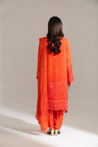 3 Piece Printed Chiffon Embroidered Suit (FS0135)