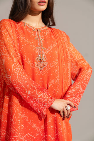 3 Piece Printed Chiffon Embroidered Suit (FS0135)