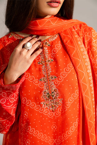 3 Piece Printed Chiffon Embroidered Suit (FS0135)