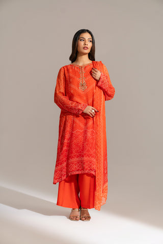 3 Piece Printed Chiffon Embroidered Suit (FS0135)